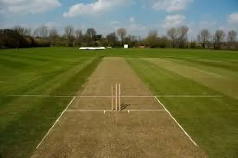 Cricket